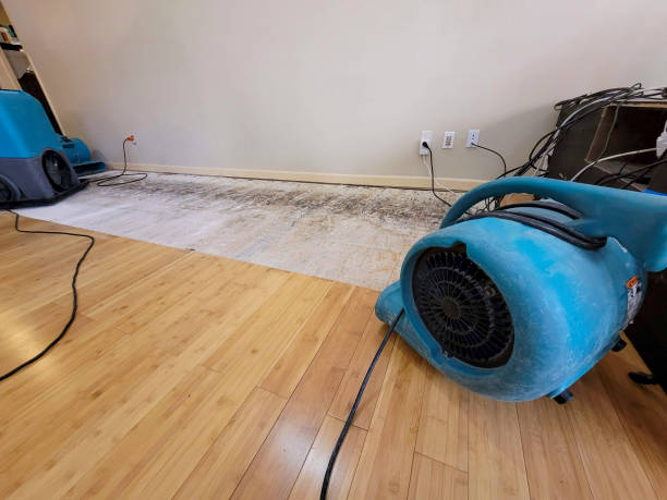 Reliable Basement Flood Cleanup contractor in Flatonia, TX by Hirex Water Damage
