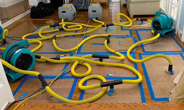 Professional Basement Flood Cleanup technician working in Flatonia, TX